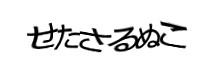 Authentication image